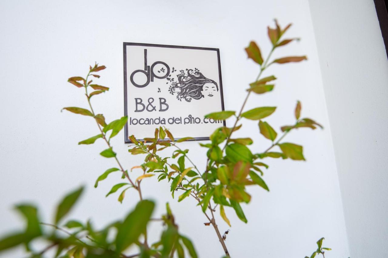 Locanda Del Pino 吉诺萨滨海 外观 照片