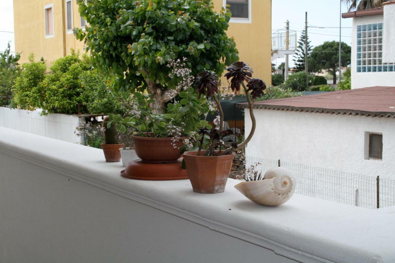 Locanda Del Pino 吉诺萨滨海 外观 照片